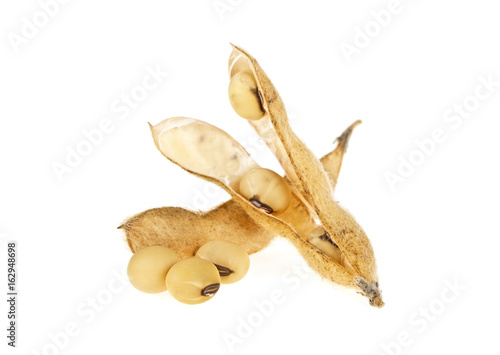 Soy bean on a white background