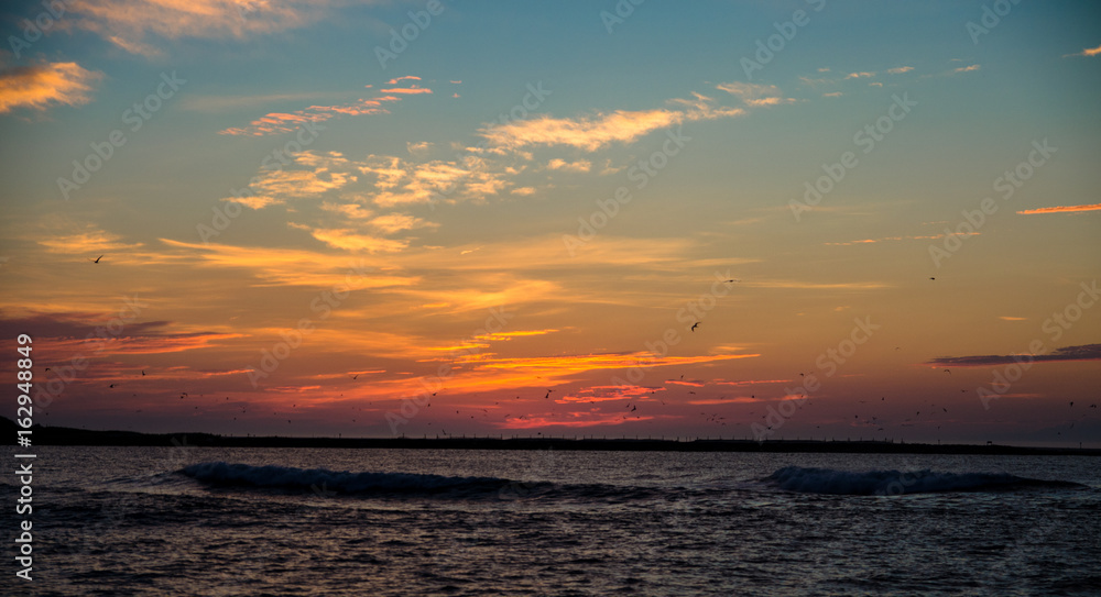 sunrise sunset ocean waves flying seagulls