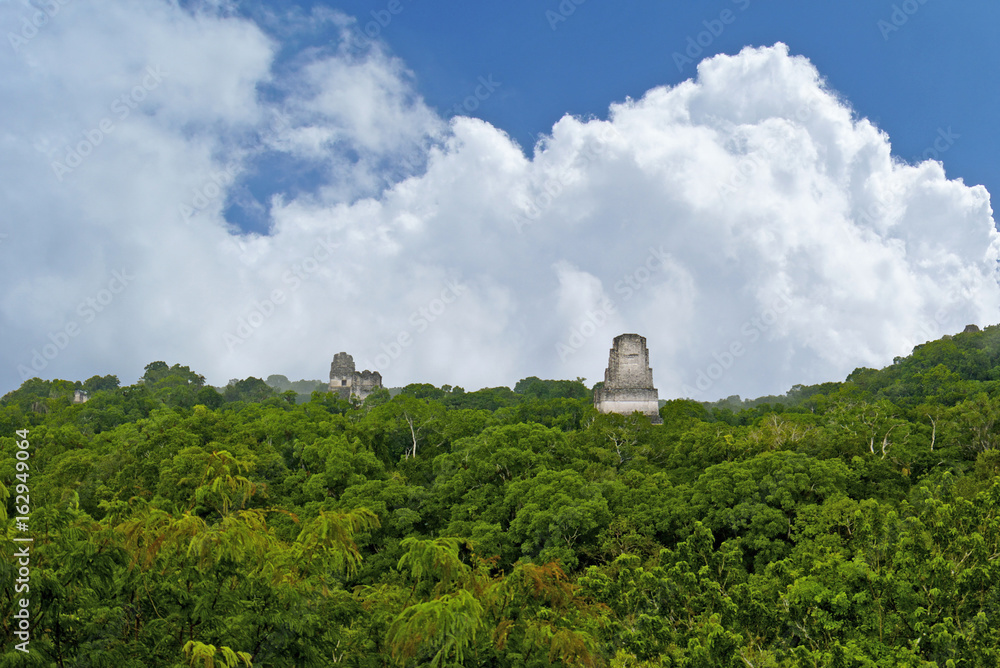 View From Temple Tikal