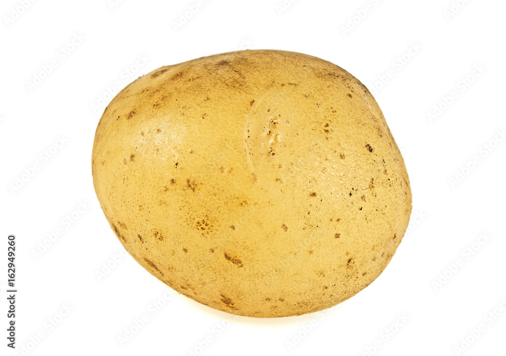 Young potato isolated on white background Young potato isolated on white background