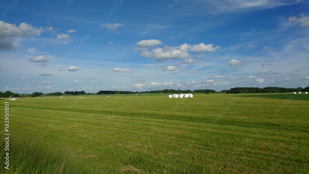 Landscape with cutted meadow and rolls of grass Landscape with cutted meadow and rolls of grass