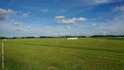 Landscape with cutted meadow and rolls of grass