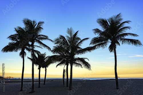 Sunset at Ipanema beach with coconuts trees in Rio de Janeiro