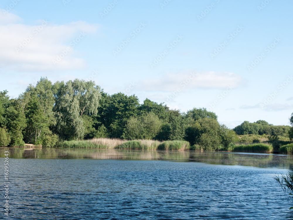 Obraz premium Stock Photo - lake surface top with trees and sky outside wivenhoe essex england uk