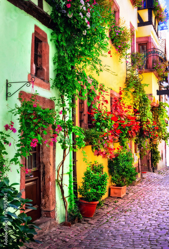 Floral traditional town Colmar with charming old streets in Alsace region. France © Freesurf