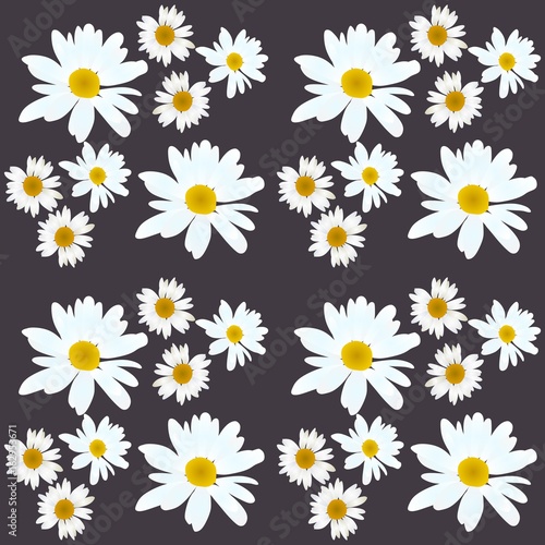 Fototapeta Naklejka Na Ścianę i Meble -  Daisy vector pattern. Beautiful flowers on black background.