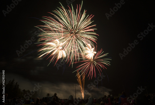 Bright and colorful fireworks in dark night sky over park