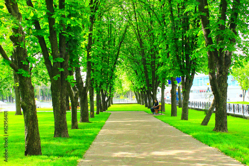 Fototapeta Naklejka Na Ścianę i Meble -  path in the city park with green trees