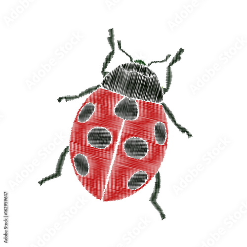 Ladybug embroidery
