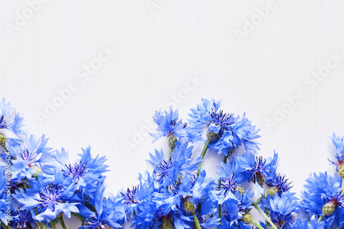 blue cornflowers over white