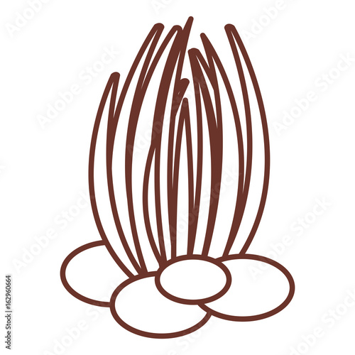 sea weed isolated icon vector illustration design