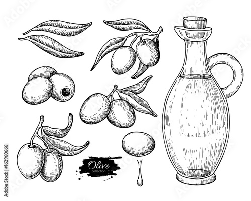 Olive oil bottle and olive branch. Vector Hand drawn illustration. Glass pitcher and food engraving isolated