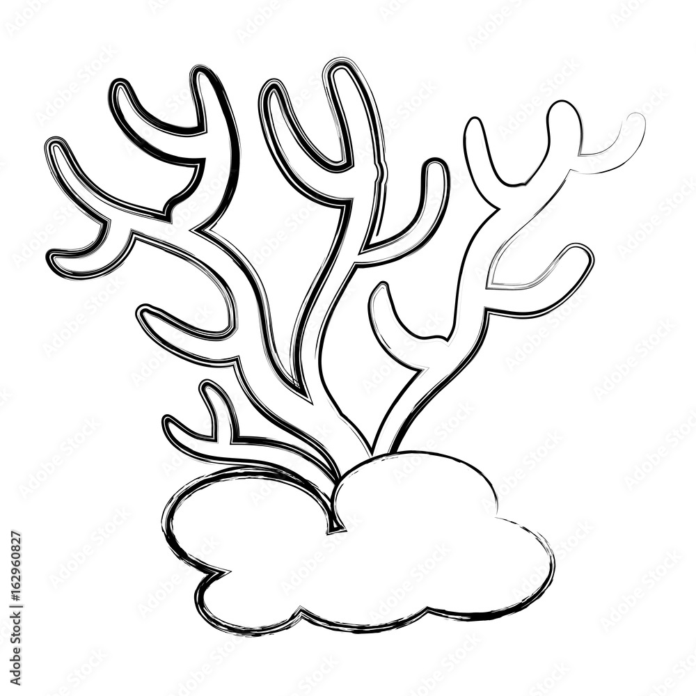 Fototapeta premium Marine coral isolated icon vector illustration design