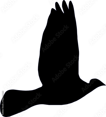  Eine Taube Silhouette 
