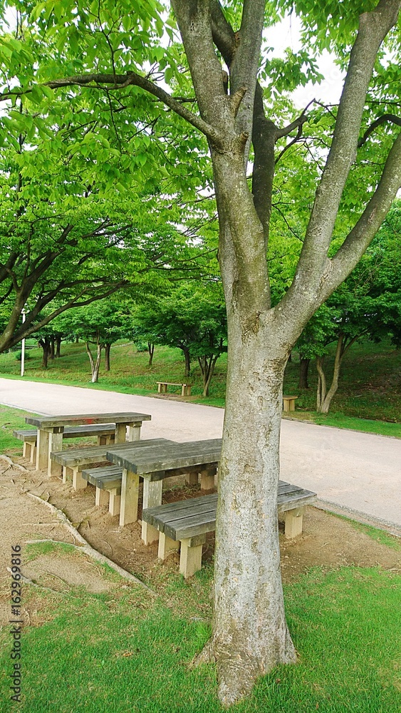 公園にあるベンチ