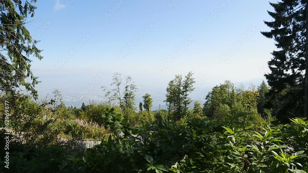 Forest growing on top of mountain against cityscape lying at its foot, contrast Forest growing on top of mountain against cityscape lying at its foot, contrast