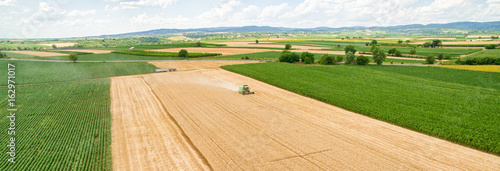 Wheat harvest panorama