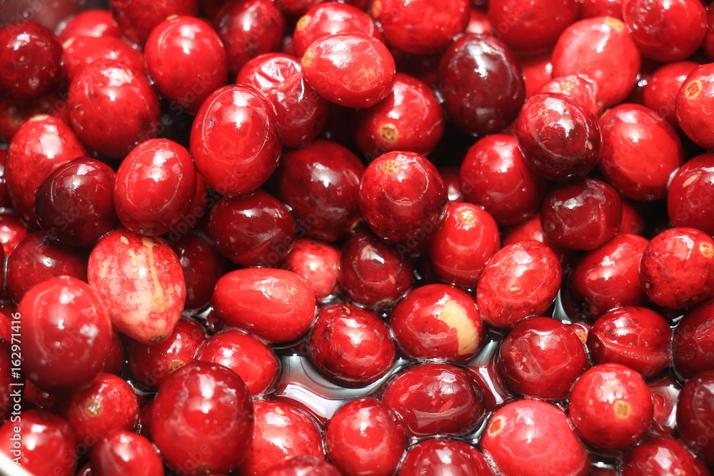 Homemade cranberry sauce Homemade cranberry sauce