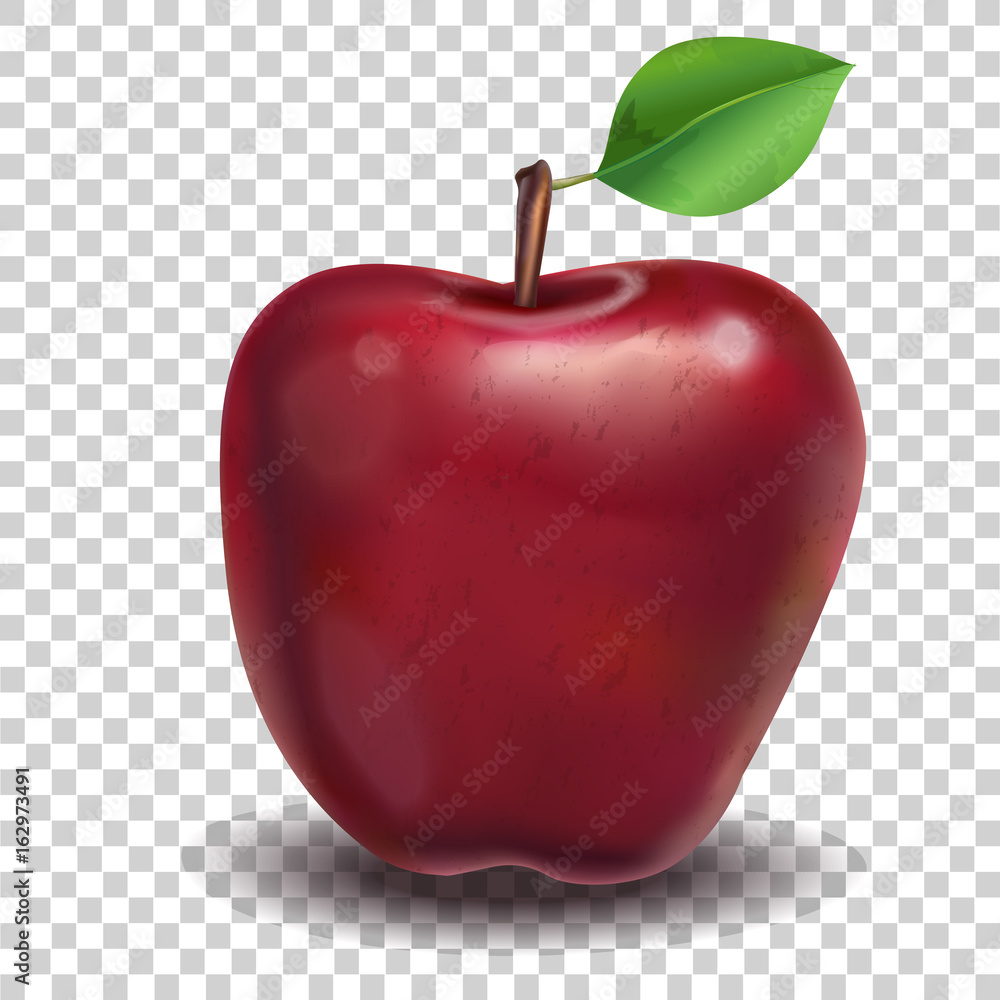 Red Apple. Realistic vector Red Apple. Realistic vector