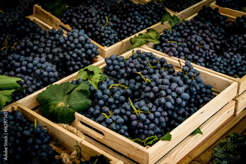 Grapes bunch in wood box