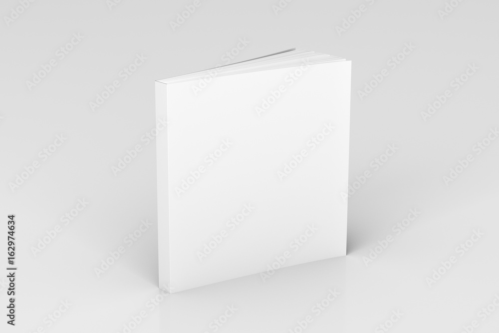 Obraz premium Blank soft color book standing