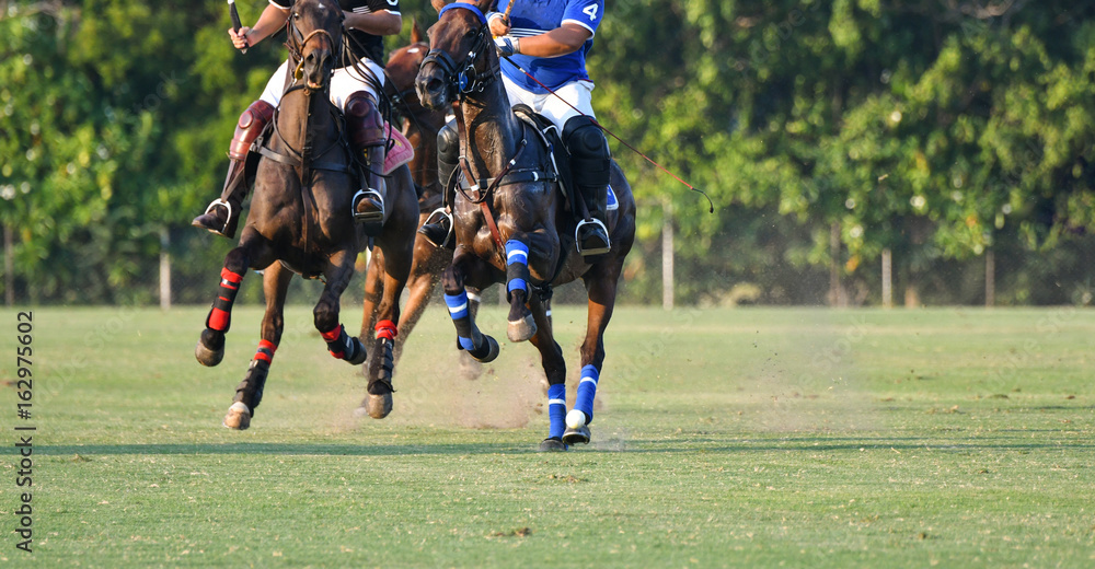 Horse polo sport player on horseback playing in a match. Horse polo sport player on horseback playing in a match.