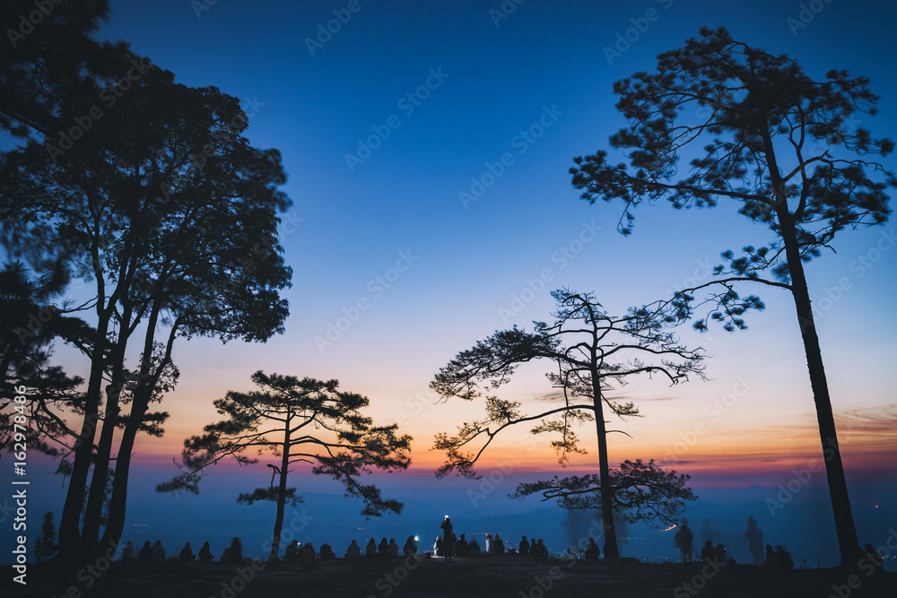 Naklejka premium Silhouette people and pine trees with sunrise scene in Phu Kradueng National Park, Thailand.