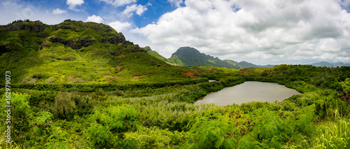 Obraz na plátně Lush tropical Island Setting of Menehune Fish Pond Panorama