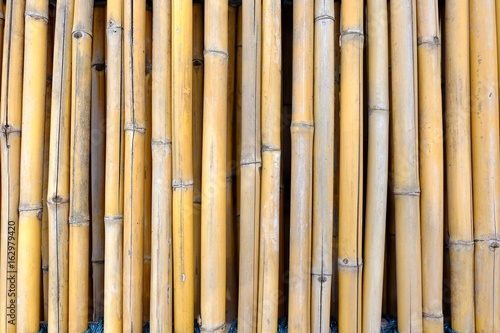 Close up Bamboo Fence Background.