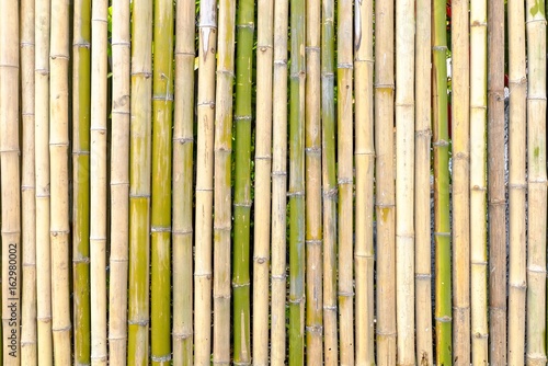Bamboo Fence Background.