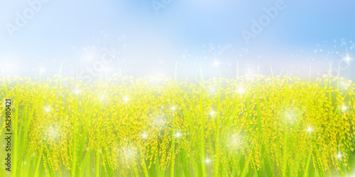 稲　秋　風景　背景