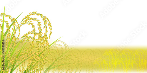 稲　秋　風景　背景