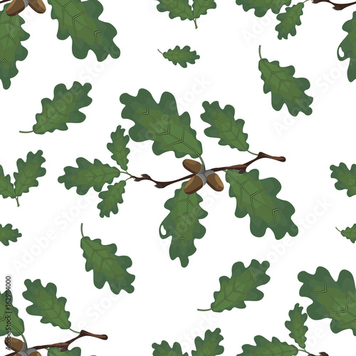 Green branches of oak with acorns and leaves. Seamless. Isolated on white background. illustration