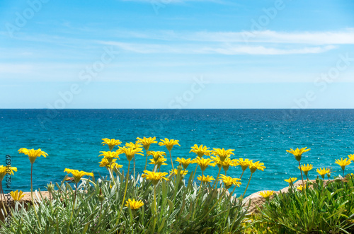 Sticker Yellow flowers with blue sea water and sky