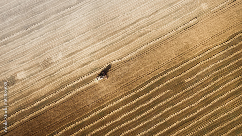 Obraz na płótnie Harvester machine working in field . Combine harvester agriculture machine harvesting golden ripe wheat field. Agriculture. Aerial view. From above. w salonie