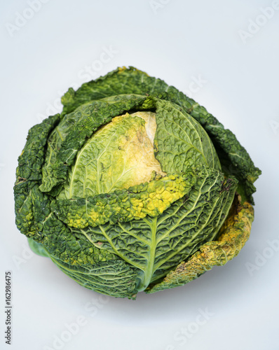 Closeup of fresh organic cabbage