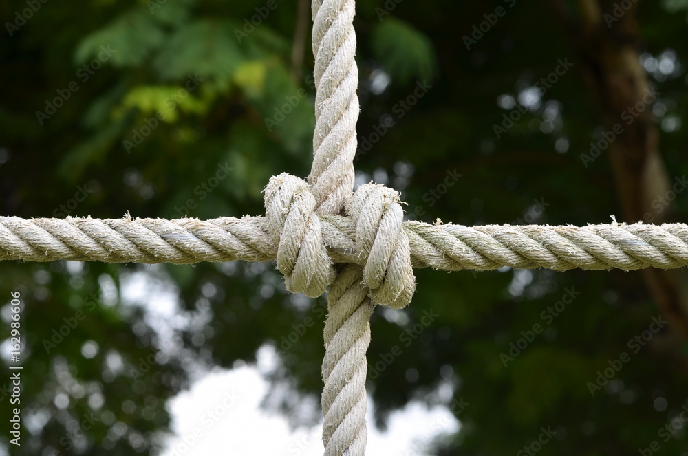 Rope knot line tied together with nature background,as a symbol for trust, teamwork,harmony or collaboration. Rope knot line tied together with nature background,as a symbol for trust, teamwork,harmony or collaboration.