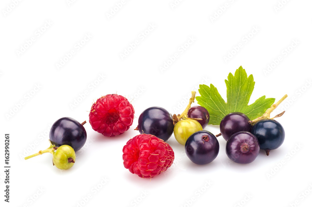 Blackcurrants with raspberries Blackcurrants with raspberries