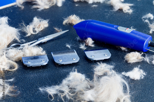 Acessories for the grooming and nail clipper for dogs.