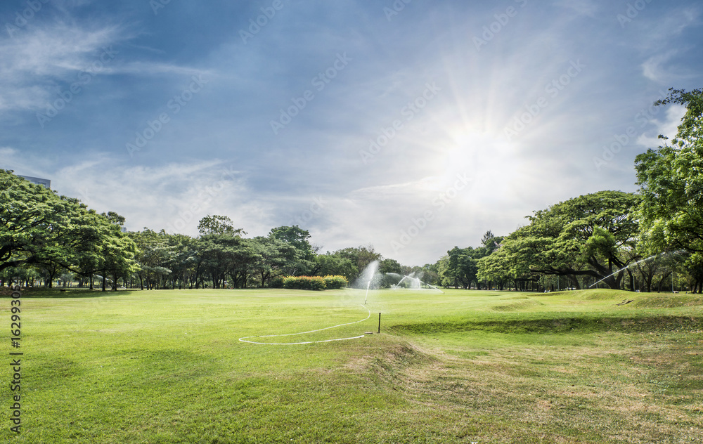 Watering the Lawn and park with Sprinkler in the morning Watering the Lawn and park with Sprinkler in the morning
