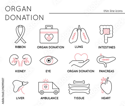 Organ Donation icon set