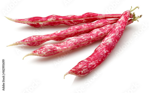 Fotografie Pinto beans