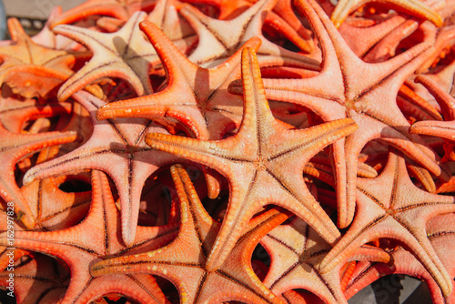 Summer holiday concept. Orange starfish at a seaside souvenir shop