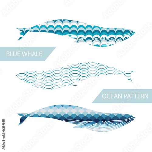 Blue Whale Filled Ocean Pattern On White Background. Vector Illustration.