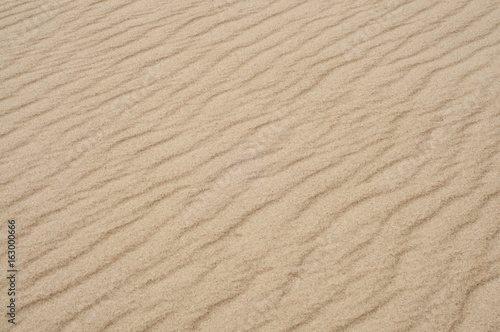 Sandy dune close up