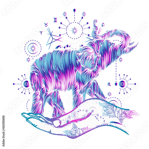 Elephant in hands tattoo art. Elephant sacral style color t-shirt design. Symbol of meditation, tourism, hipster, magic. Elephant line art tattoo