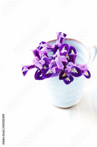 Fototapeta Naklejka Na Ścianę i Meble -  Iris Flowers in a Ceramic Mug