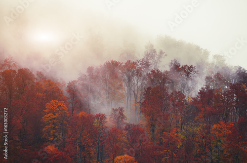 Silhouettes of autumnal mountains with trees in fog