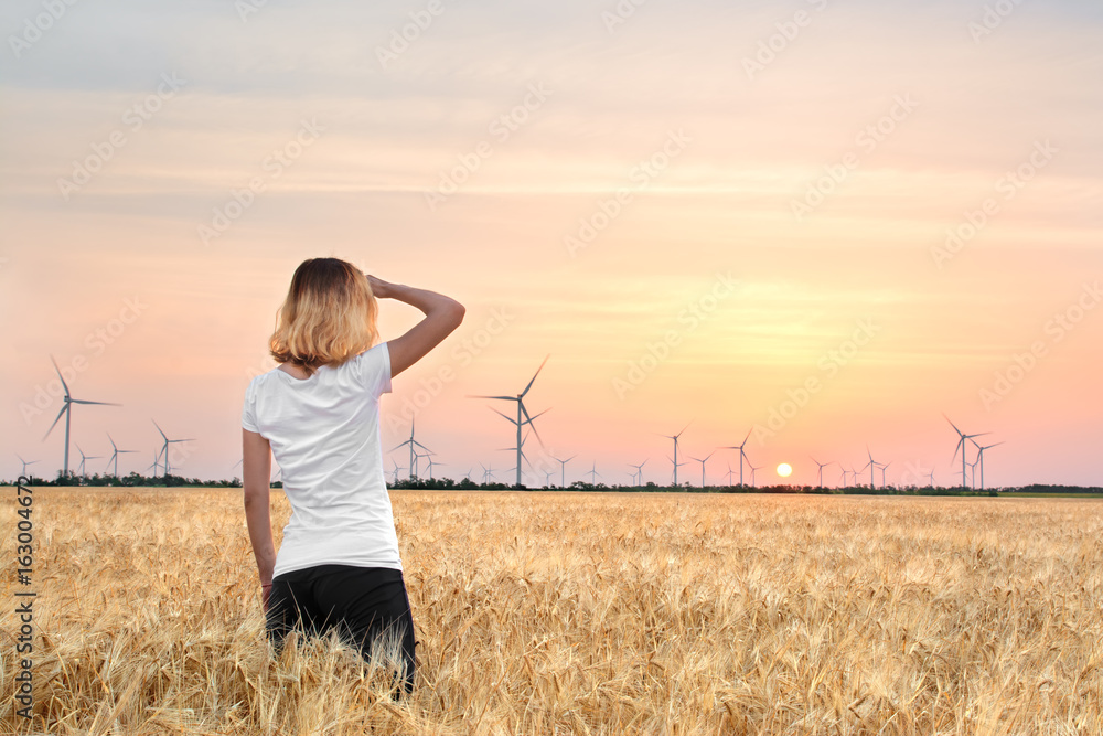 A girl in a wheat field looks at windmills, dawn A girl in a wheat field looks at windmills, dawn