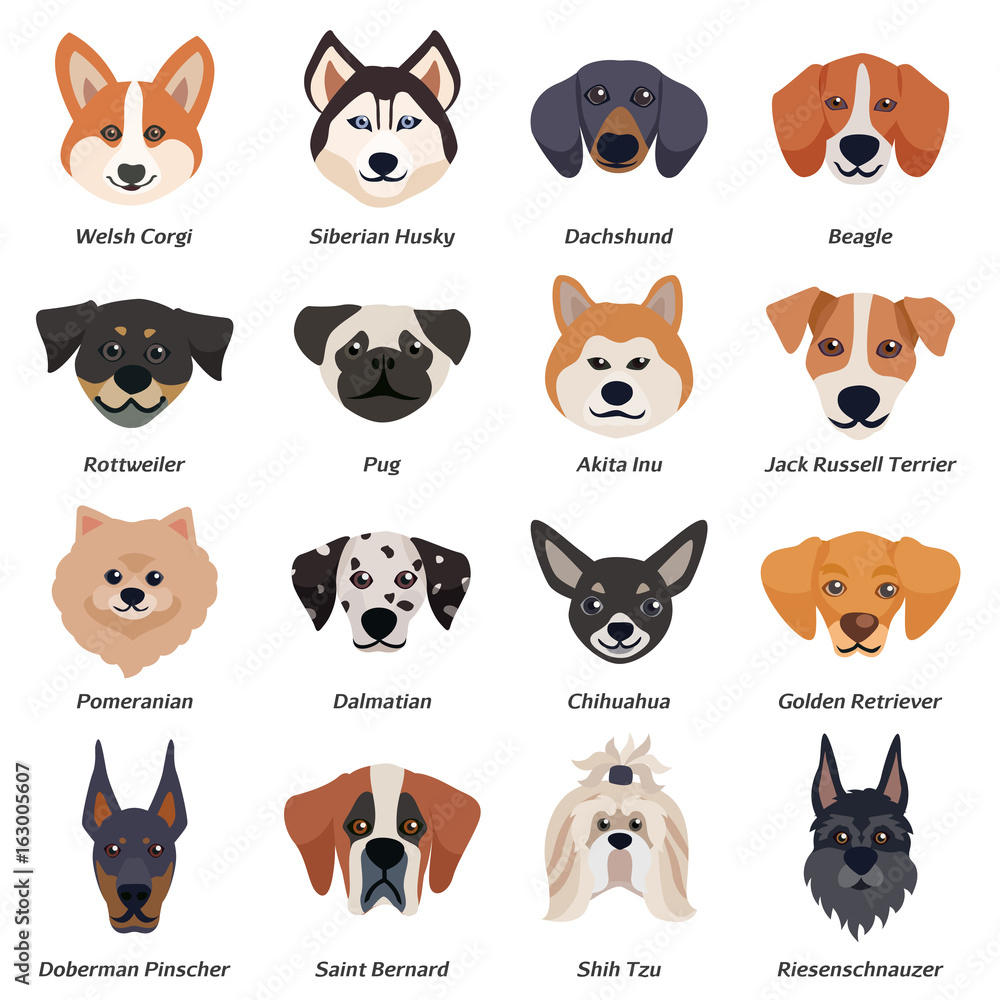 Purebred Dogs Faces Icon Set